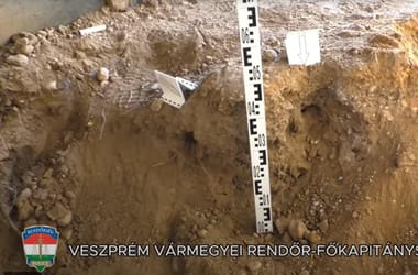 Thumbnail for 6814442