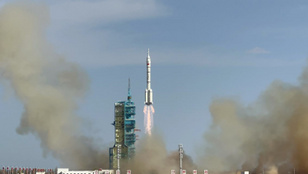 Thumbnail for 6814517