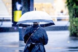 Thumbnail for 6814546