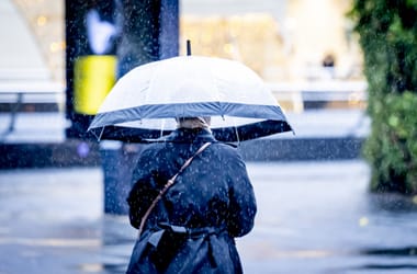 Thumbnail for 6814546