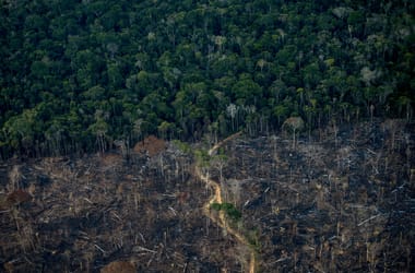 Thumbnail for 6814721