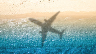 Thumbnail for 6815093