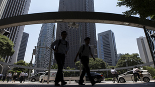 Thumbnail for 6815237