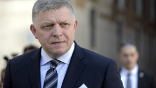 Thumbnail for 6815244