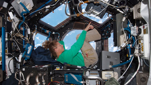 Thumbnail for 6815251