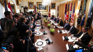 Thumbnail for 6815253