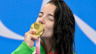 Thumbnail for 6815321