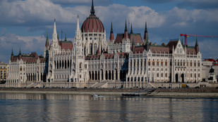 Thumbnail for 6815357