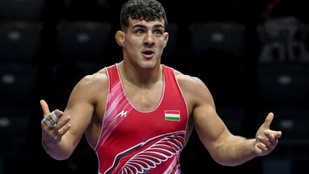 Thumbnail for 6815448