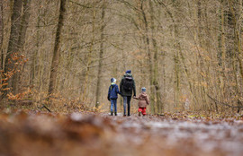 Thumbnail for 6815529