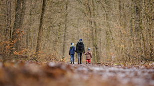 Thumbnail for 6815529