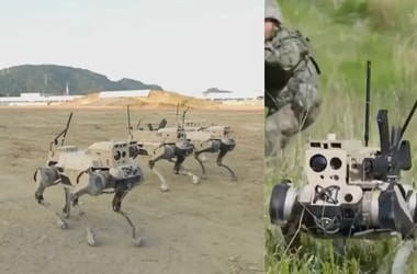 Thumbnail for 6815533