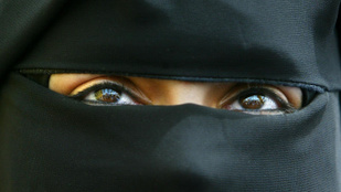 Thumbnail for 6815650