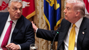 Thumbnail for 6815656