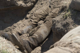 Thumbnail for 6815662