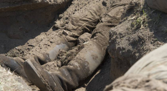 Thumbnail for 6815662