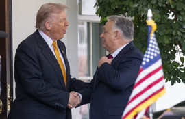 Thumbnail for 6815670