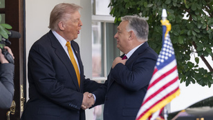 Thumbnail for 6815670