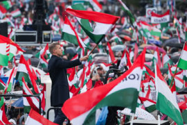 Thumbnail for 6815738