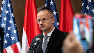 Thumbnail for 6815816