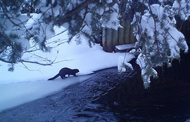 Thumbnail for 6815823