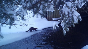 Thumbnail for 6815823