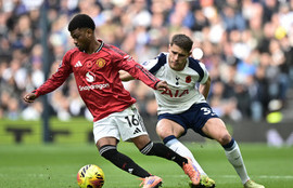 Thumbnail for 6815833