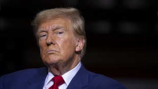 Thumbnail for 6815841