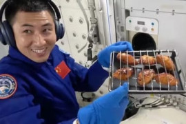 Thumbnail for 6815844