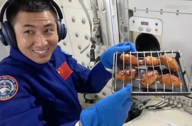 Thumbnail for 6815844