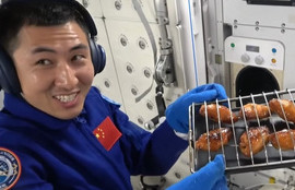 Thumbnail for 6815892