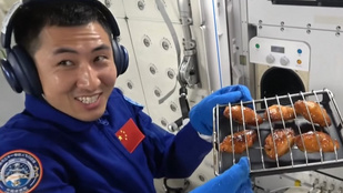 Thumbnail for 6815892