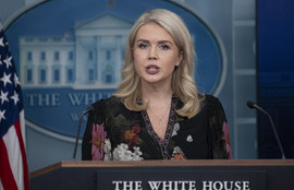 Thumbnail for 6815950