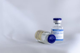 Thumbnail for 6815976