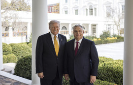 Thumbnail for 6816030