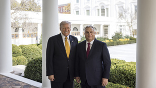 Thumbnail for 6816030