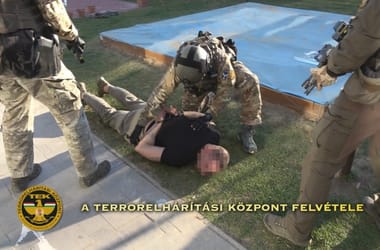 Thumbnail for 6816053