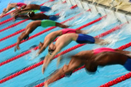 Thumbnail for 6816064