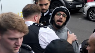 Thumbnail for 6816066