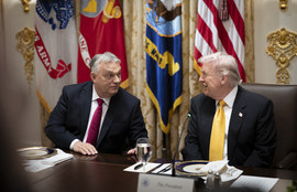 Thumbnail for 6816169