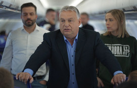 Thumbnail for 6816183