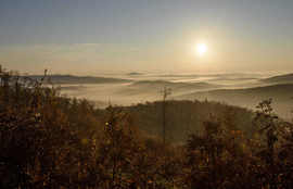 Thumbnail for 6816216