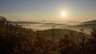 Thumbnail for 6816216