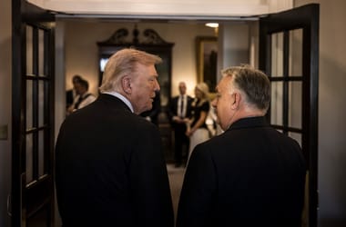 Thumbnail for 6816243