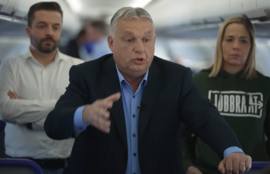 Thumbnail for 6816250