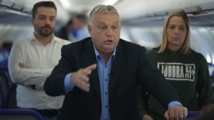 Thumbnail for 6816250