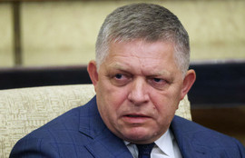 Thumbnail for 6816254