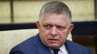 Thumbnail for 6816254