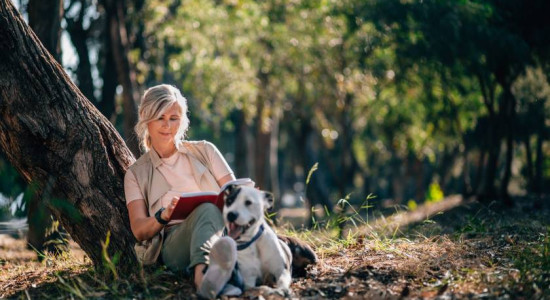 Thumbnail for 6816260