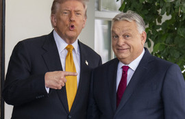 Thumbnail for 6816265